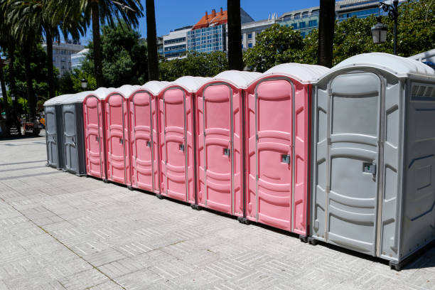 Types of Portable Toilets We Offer in Ravenna, MI